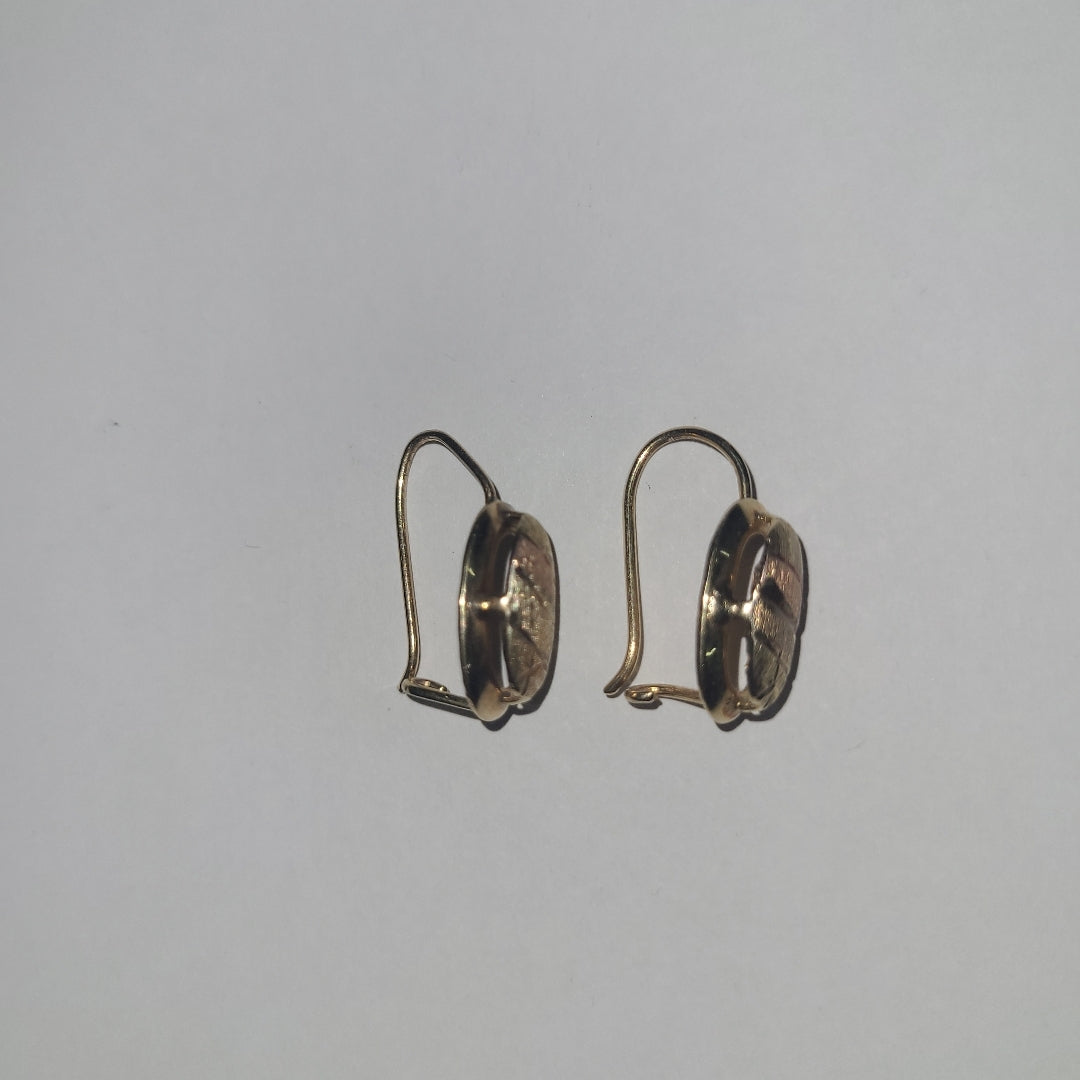 ARETES PAR ORO 10 K 1,70 GRMS (SEMINUEVO)