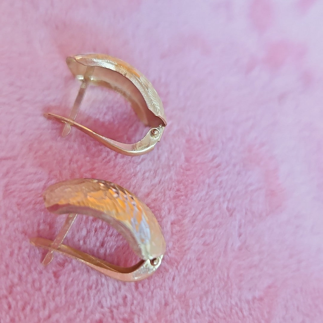 ARETES PAR ORO 14 K 2,90 GRMS (SEMINUEVO)