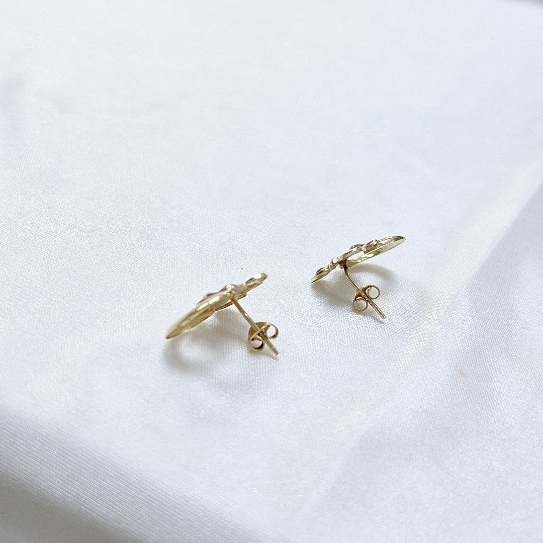 ARETES PAR ORO 14 K 1.8 GRMS (SEMINUEVO)