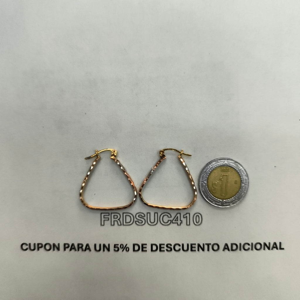 ARETES PAR ORO 10 K 2.2 GRMS (SEMINUEVO)