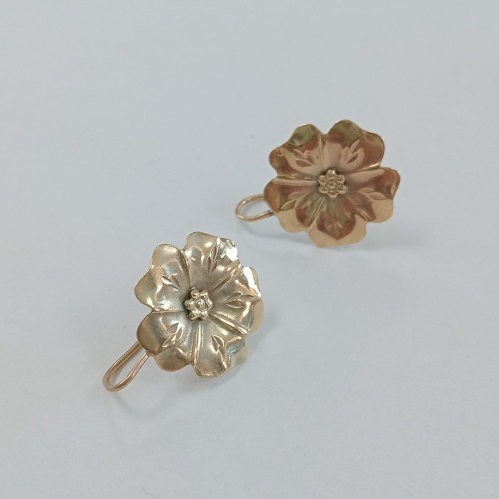 ARETES PAR ORO 10 K 2.2 GRMS (SEMINUEVO)