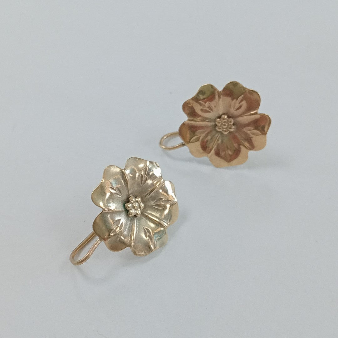 ARETES PAR ORO 10 K 2.2 GRMS (SEMINUEVO)
