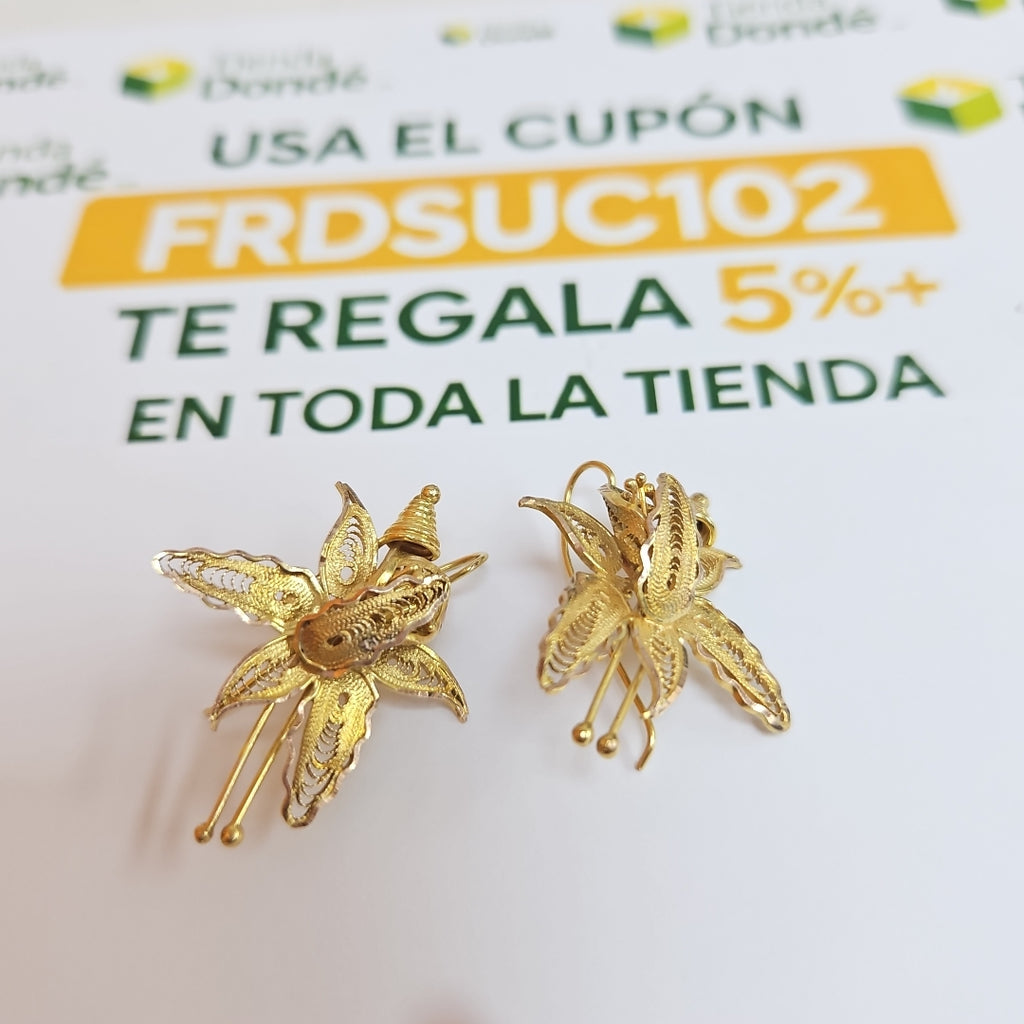 ARETES PAR ORO 10 K 6.2 GRMS (SEMINUEVO)
