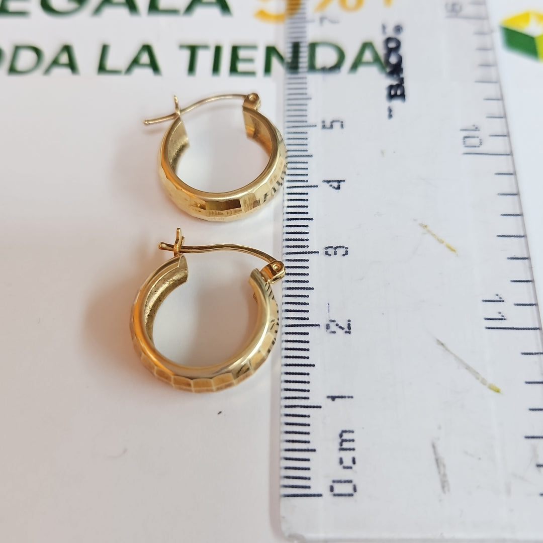 ARRACADAS PAR ORO 10 K 1.6 GRMS (SEMINUEVO)