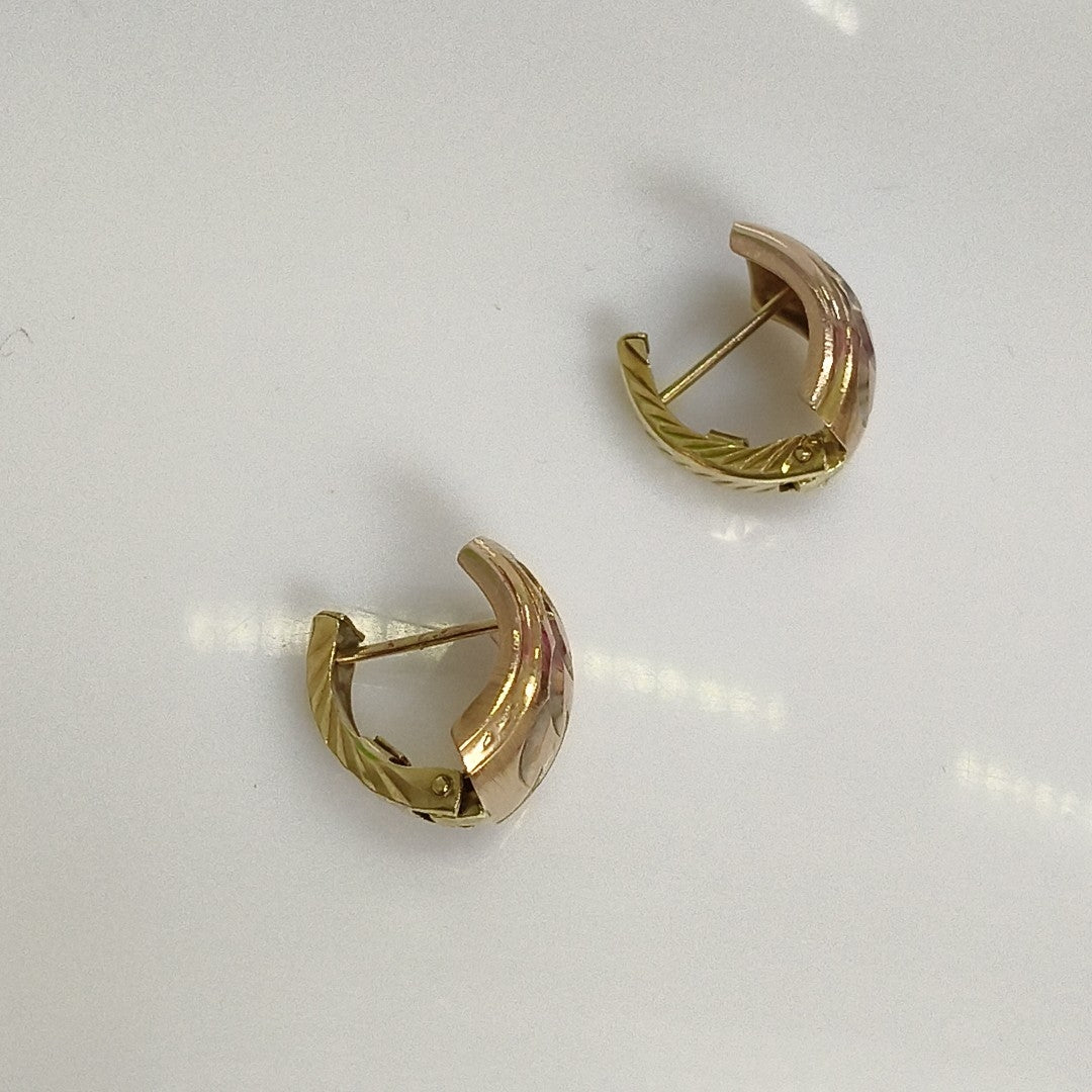 ARETES PAR ORO 10 K 2,90 GRMS (SEMINUEVO)