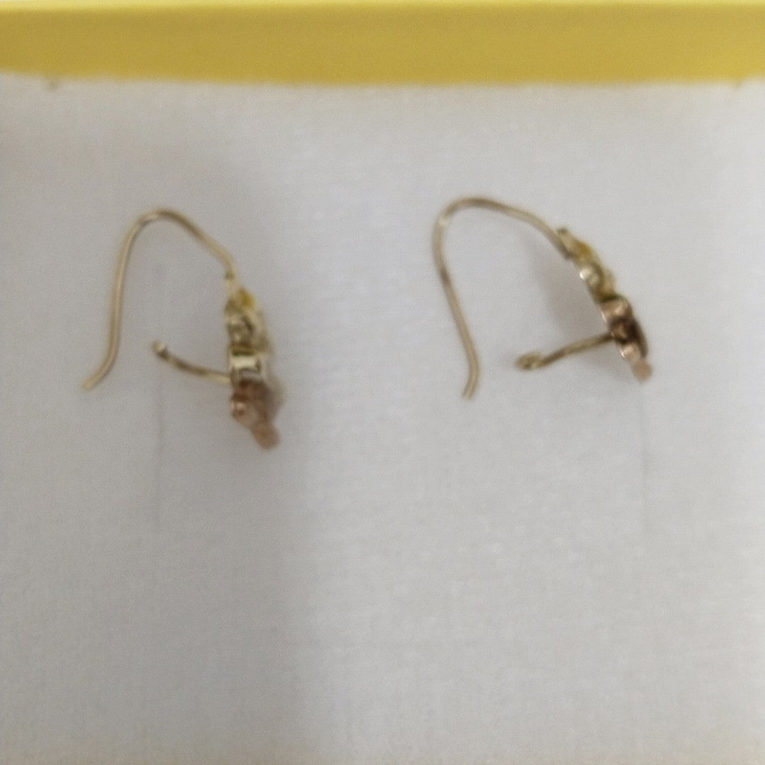 ARETES PAR ORO 14 K 1.3 GRMS (SEMINUEVO)