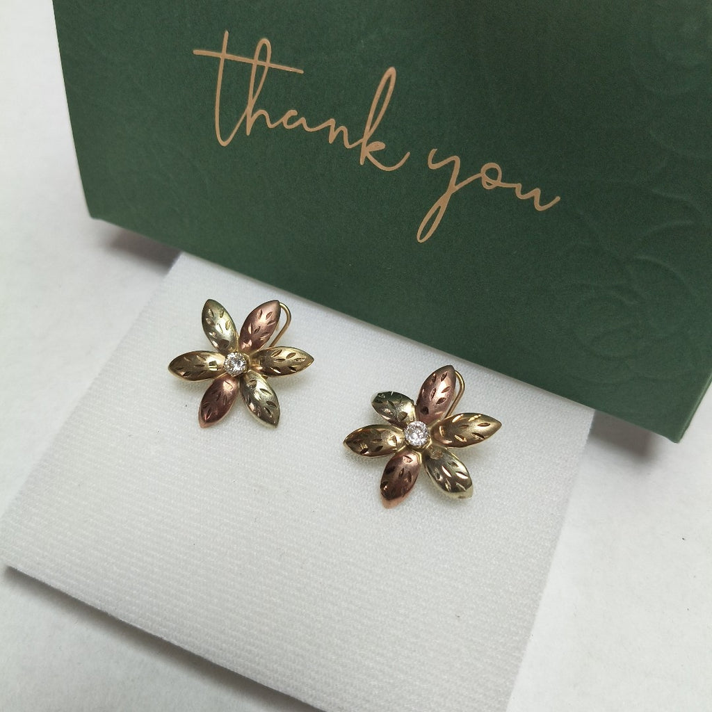 ARETES PAR ORO 10 K 4 GRMS (SEMINUEVO)
