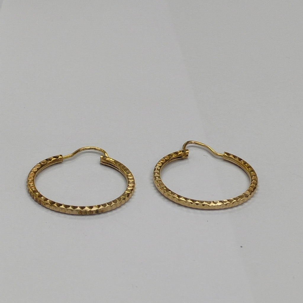 ARRACADAS PAR ORO 10 K 2 GRMS (SEMINUEVO)