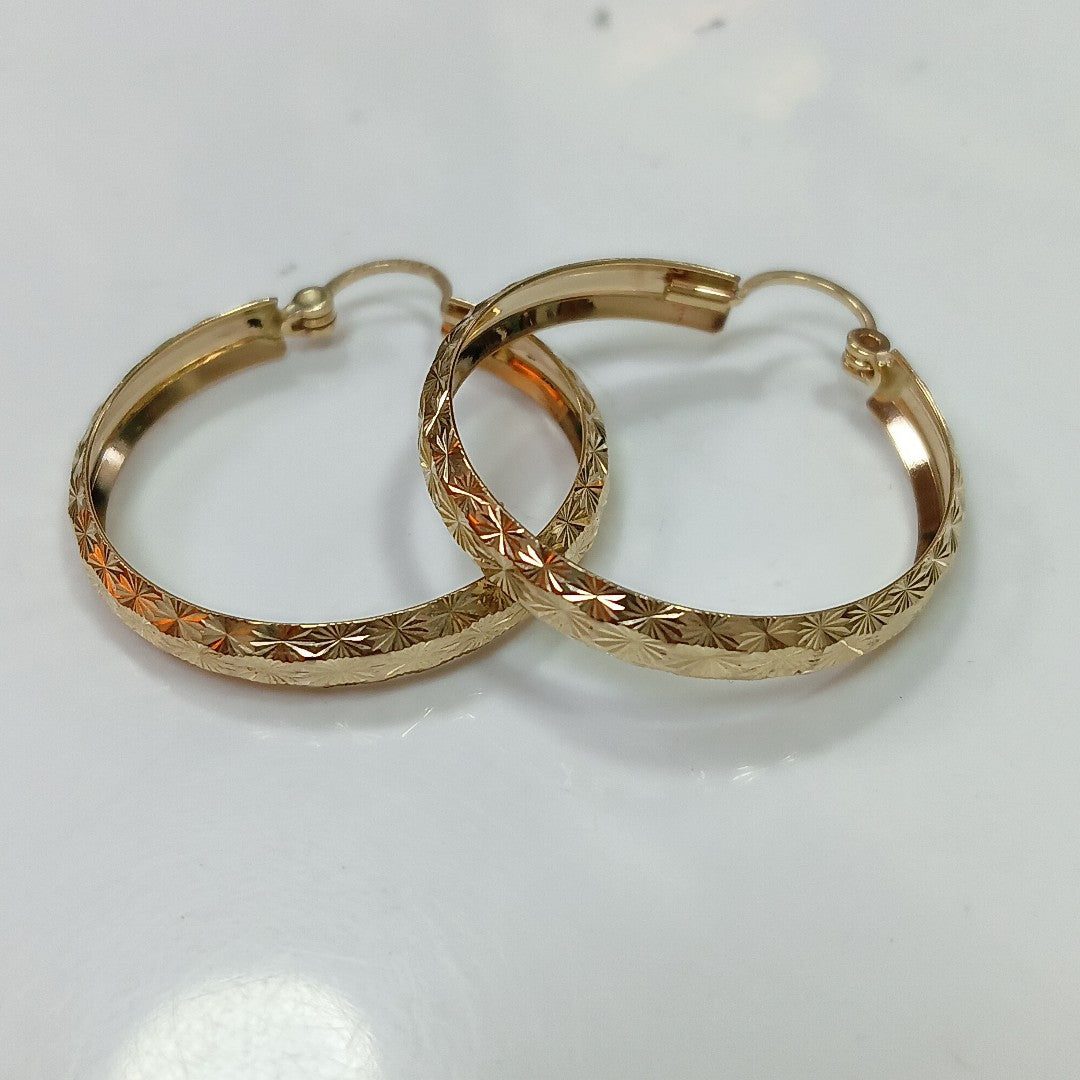 ARRACADAS PAR ORO 10 K 3.5 GRMS (SEMINUEVO)
