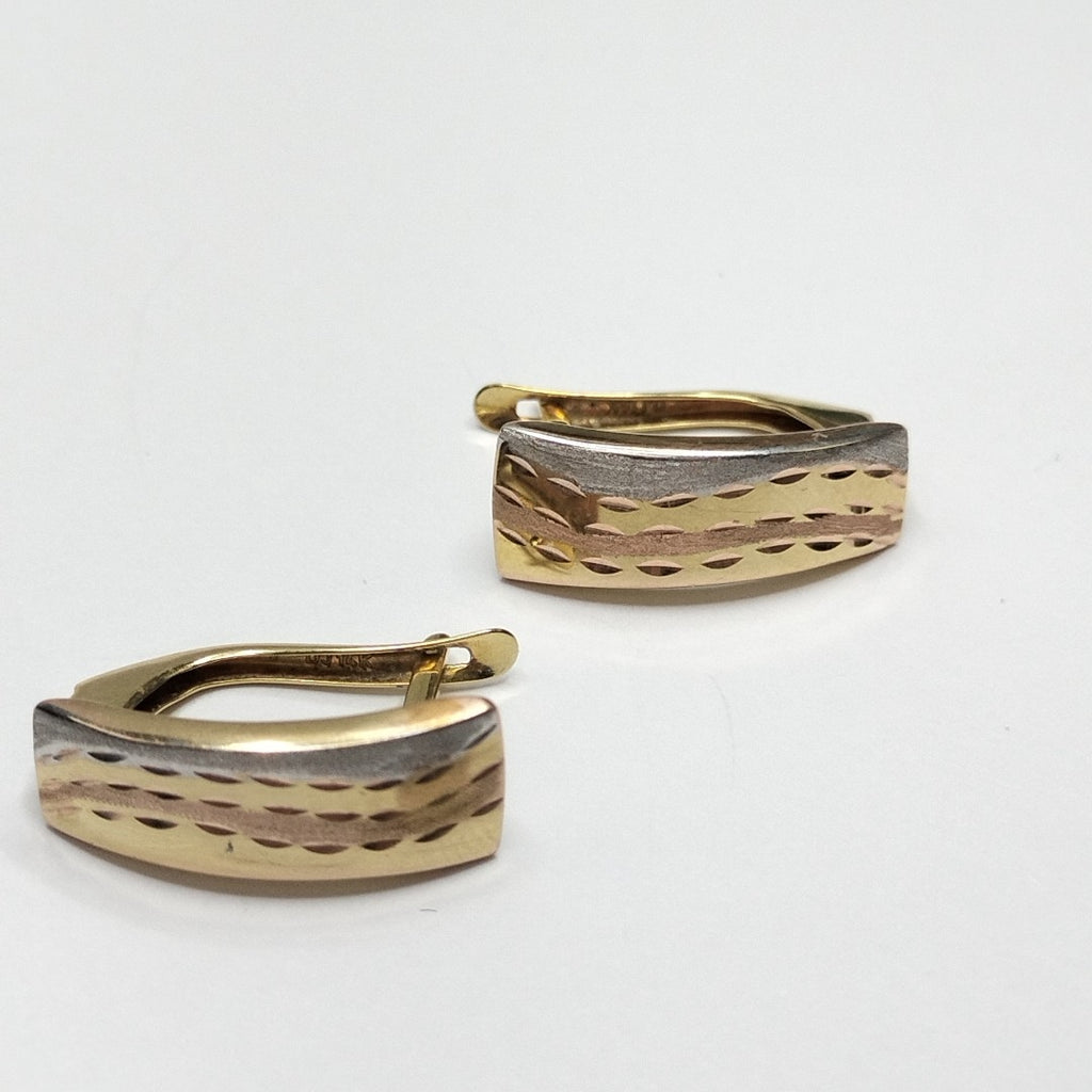ARETES PAR ORO 14 K 1.9 GRMS (SEMINUEVO)