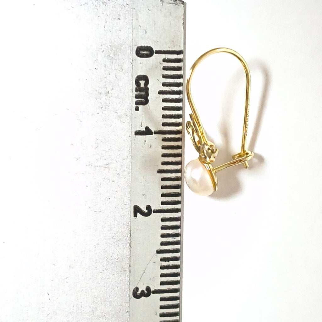 ARETES PAR ORO 10 K 1,00 GRMS (SEMINUEVO)