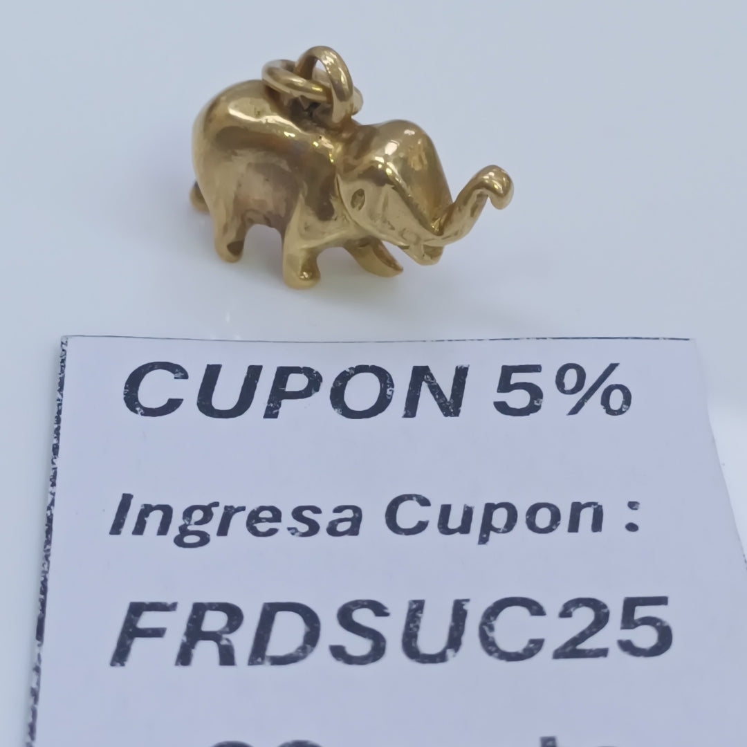 DIJE ORO 14 K 9.6 GRMS (SEMINUEVO)