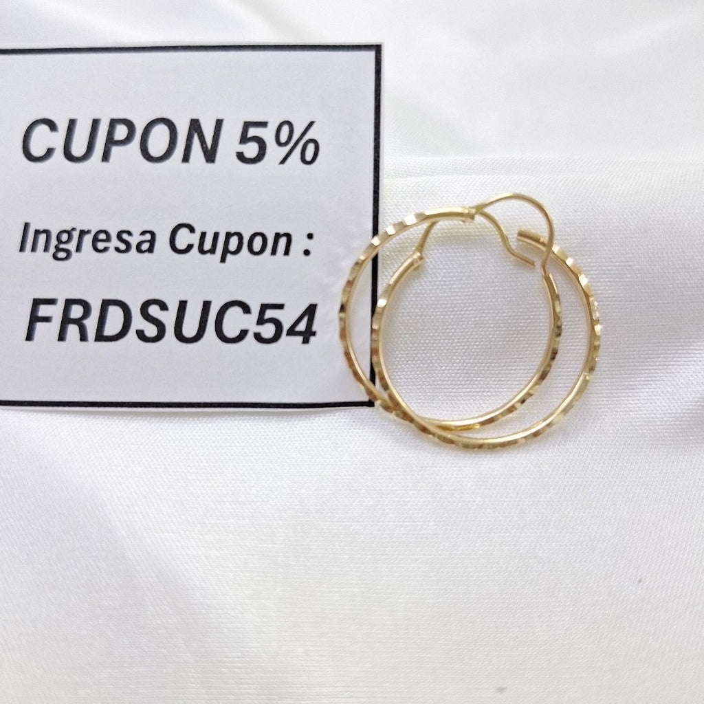 ARRACADAS PAR ORO 10 K 1.1 GRMS (SEMINUEVO)