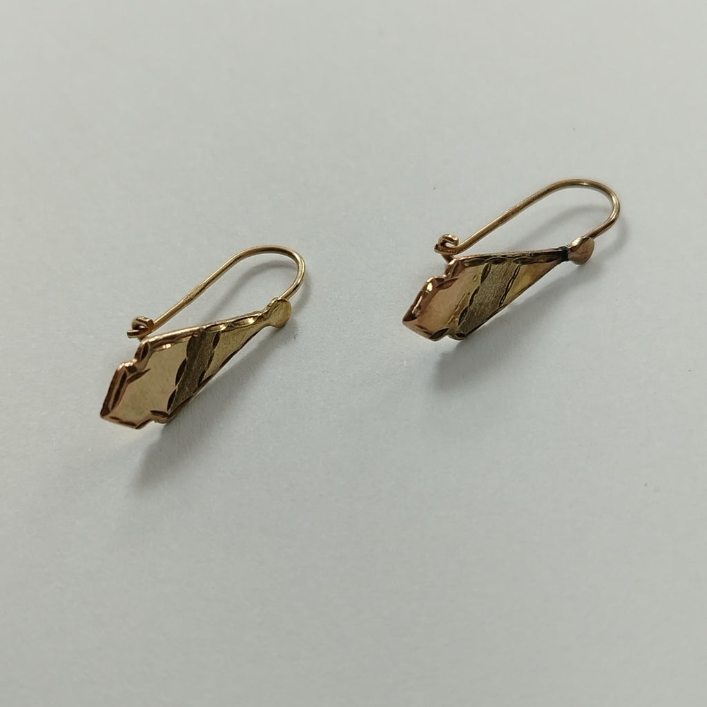 ARETES PAR ORO 10 K 1 GRMS (SEMINUEVO)