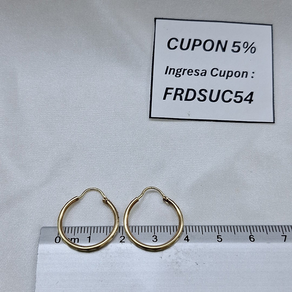 ARRACADAS PAR ORO 10 K 1.3 GRMS (SEMINUEVO)