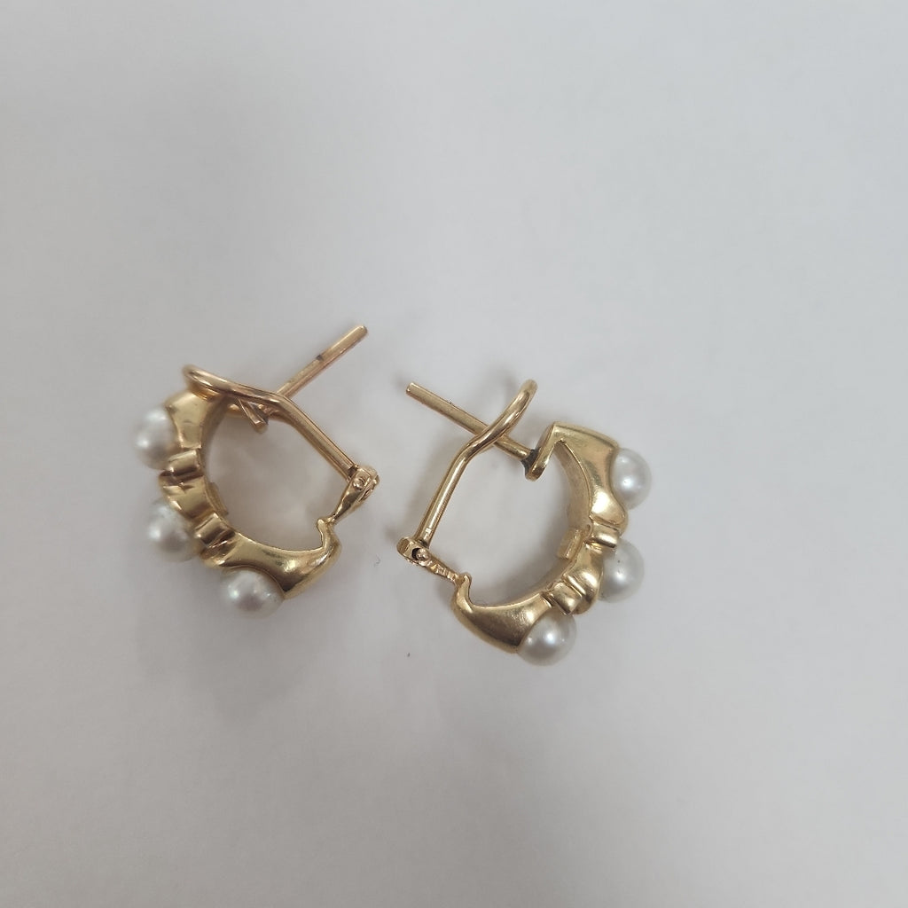 ARETES PAR ORO 14 K 9.8 GRMS (SEMINUEVO)