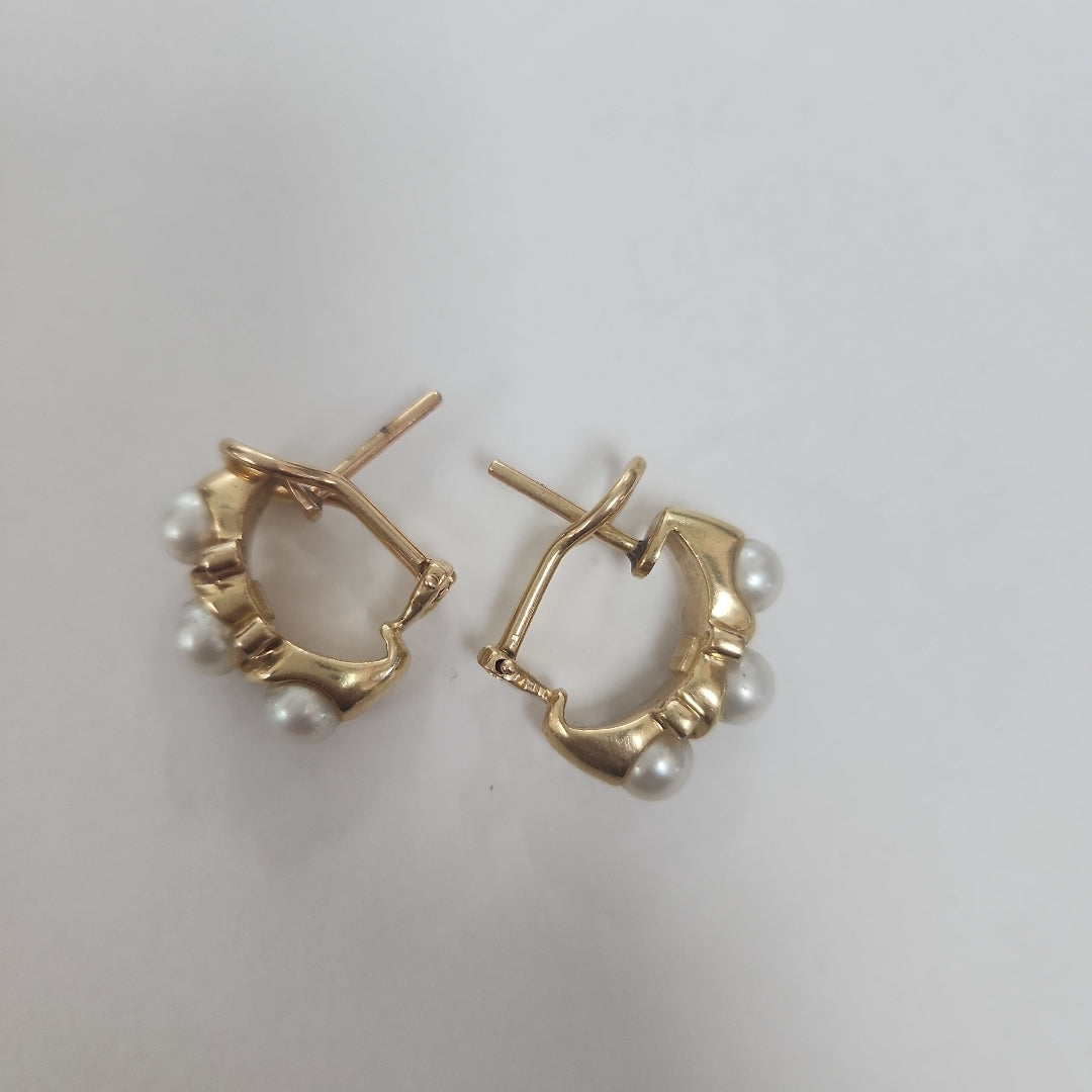 ARETES PAR ORO 14 K 9.8 GRMS (SEMINUEVO)