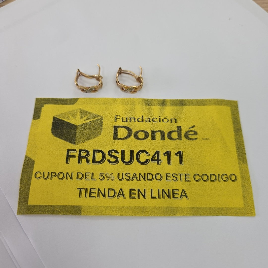 ARETES PAR ORO 14 K 4.5 GRMS (SEMINUEVO)