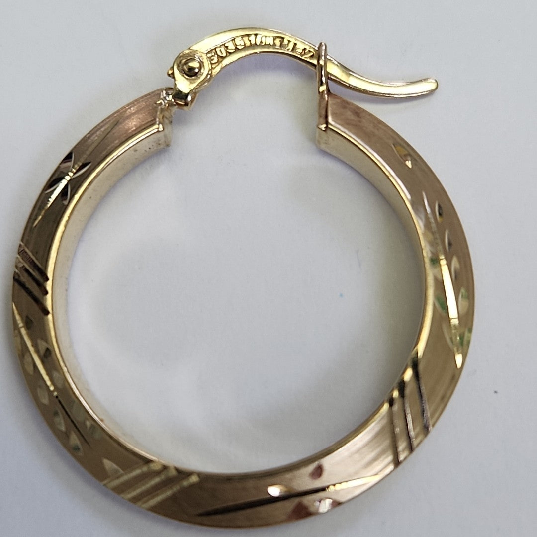 ARRACADAS PAR ORO 10 K 2.1 GRMS (SEMINUEVO)