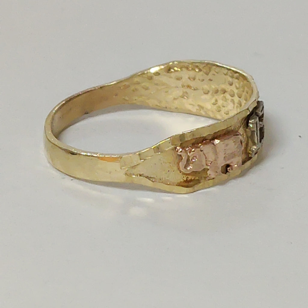 ANILLITO ORO 10 K 2.2 GRMS (SEMINUEVO)