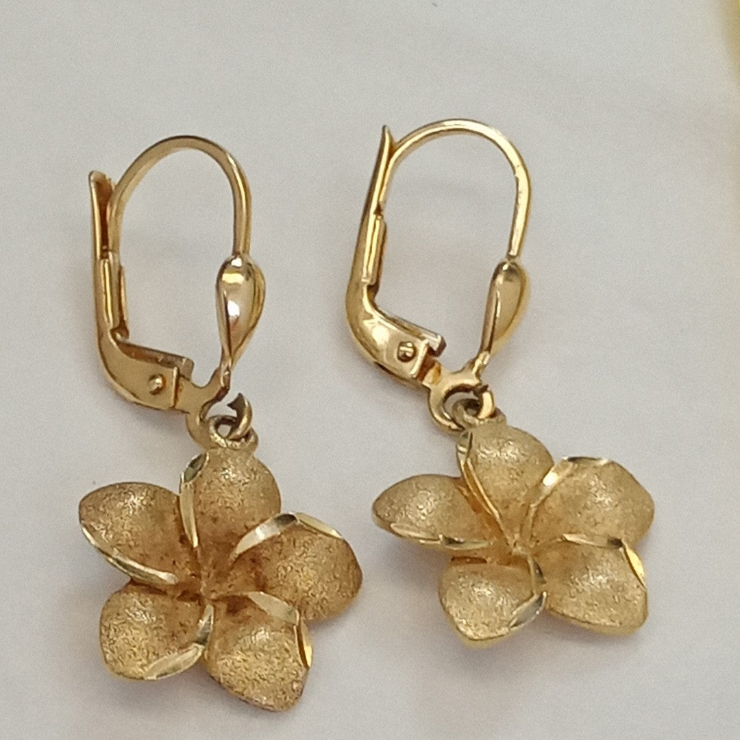 ARETES PAR ORO 14 K 2,90 GRMS (SEMINUEVO)