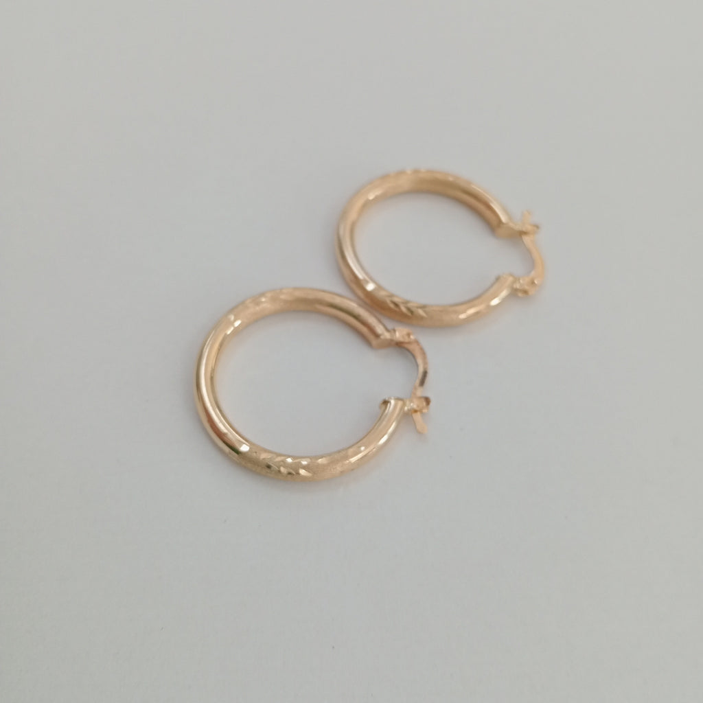 ARRACADAS PAR ORO 10 K 2.7 GRMS (SEMINUEVO)