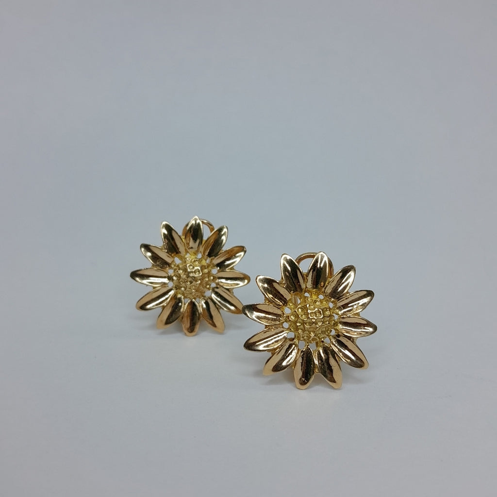 ARETES PAR ORO 10 K 3.4 GRMS (SEMINUEVO)
