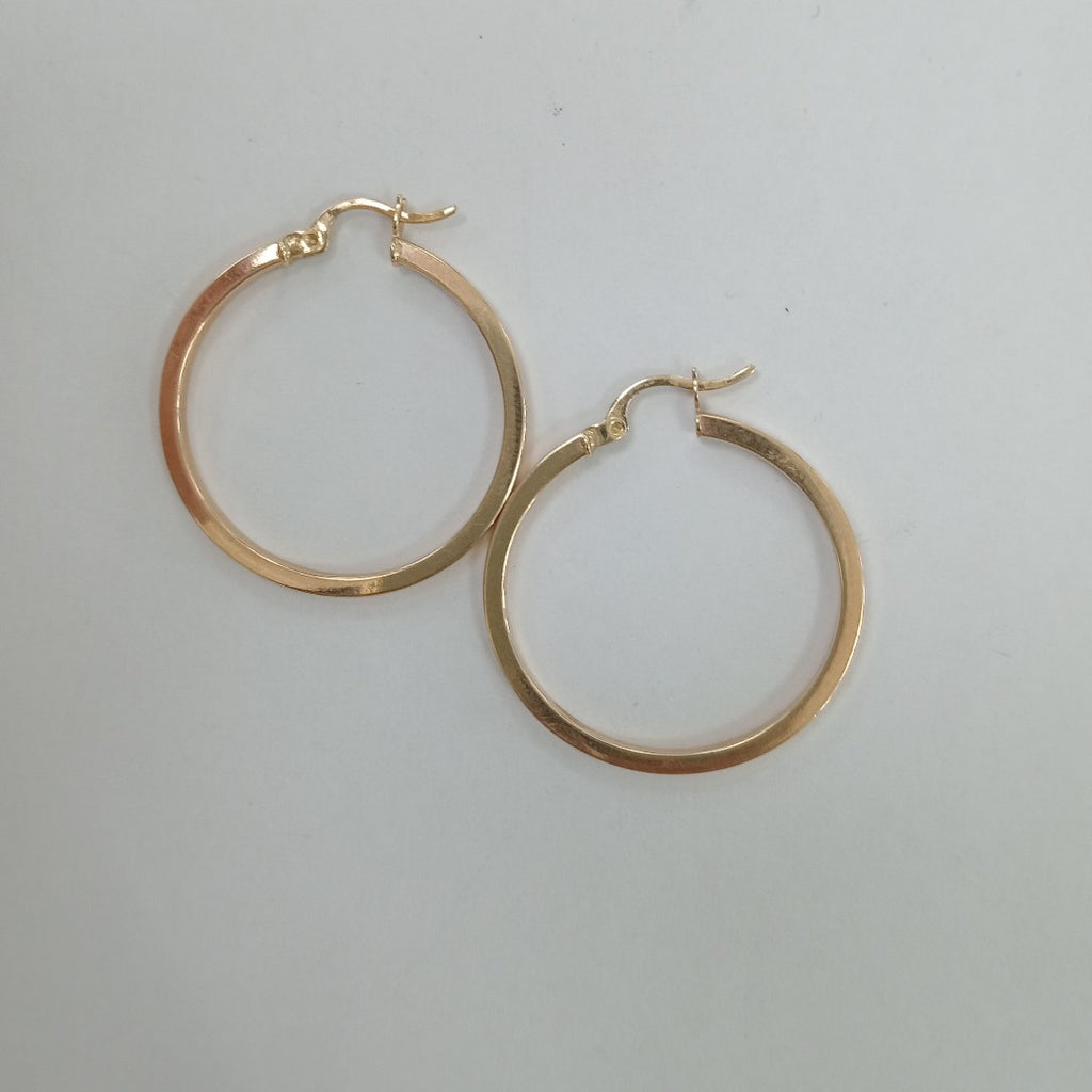 ARRACADAS PAR ORO 10 K 2.3 GRMS (SEMINUEVO)