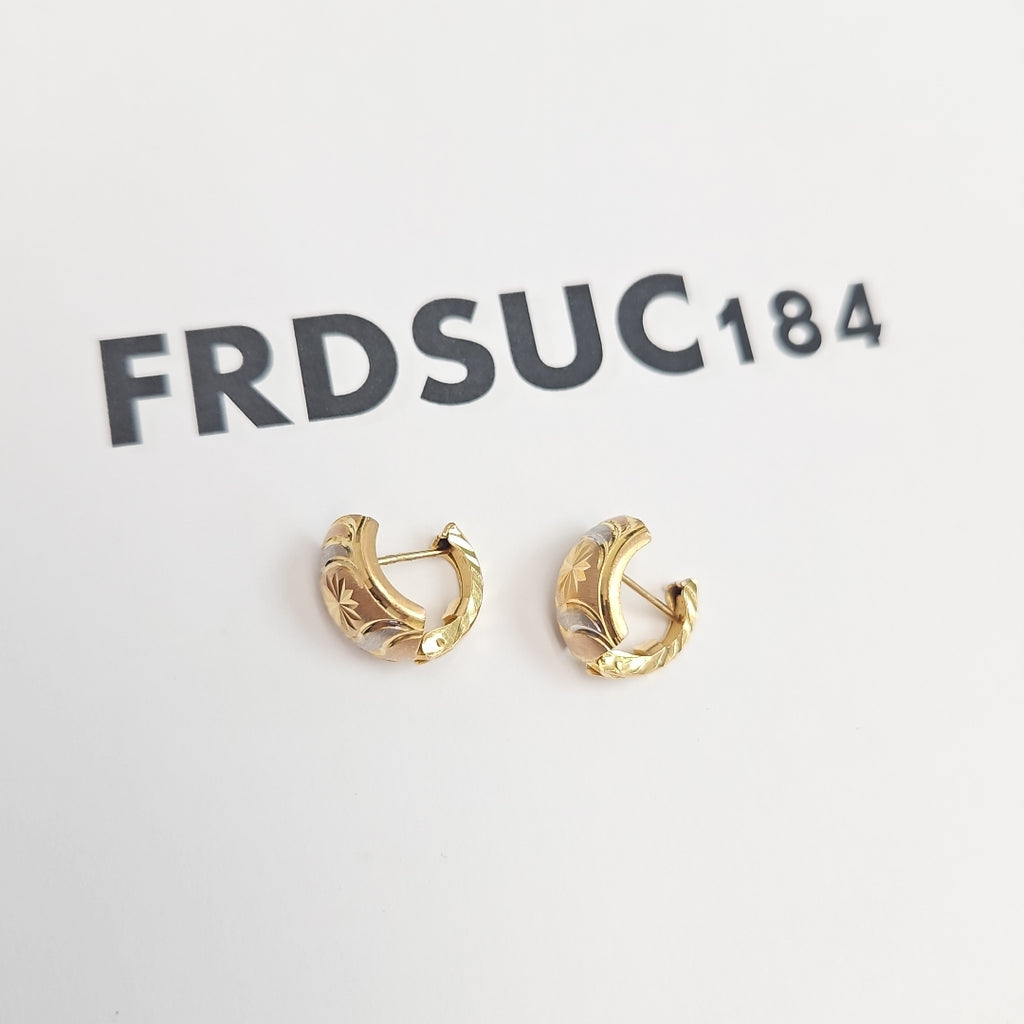 ARETES PAR ORO 10 K 2,40 GRMS (SEMINUEVO)