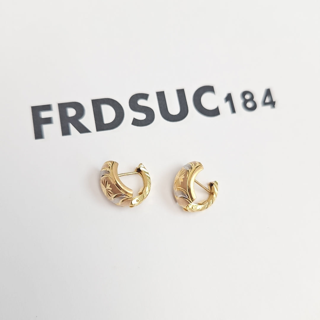 ARETES PAR ORO 10 K 2,40 GRMS (SEMINUEVO)