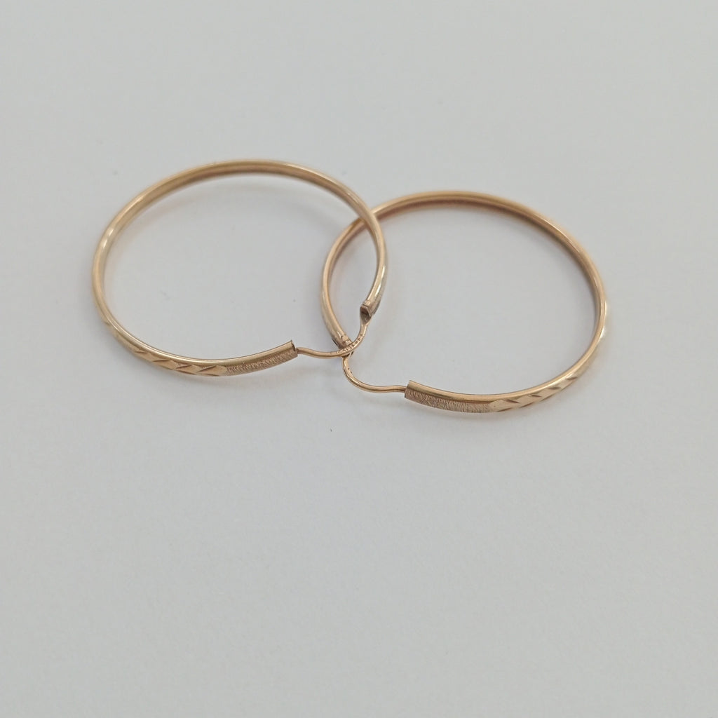 ARRACADAS PAR ORO 10 K 3.3 GRMS (SEMINUEVO)