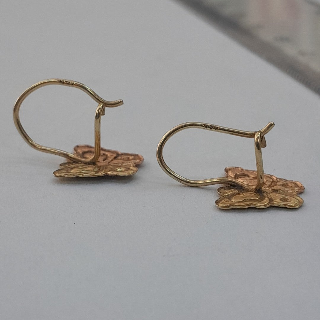 ARETES PAR ORO 10 K 1 GRMS (SEMINUEVO)