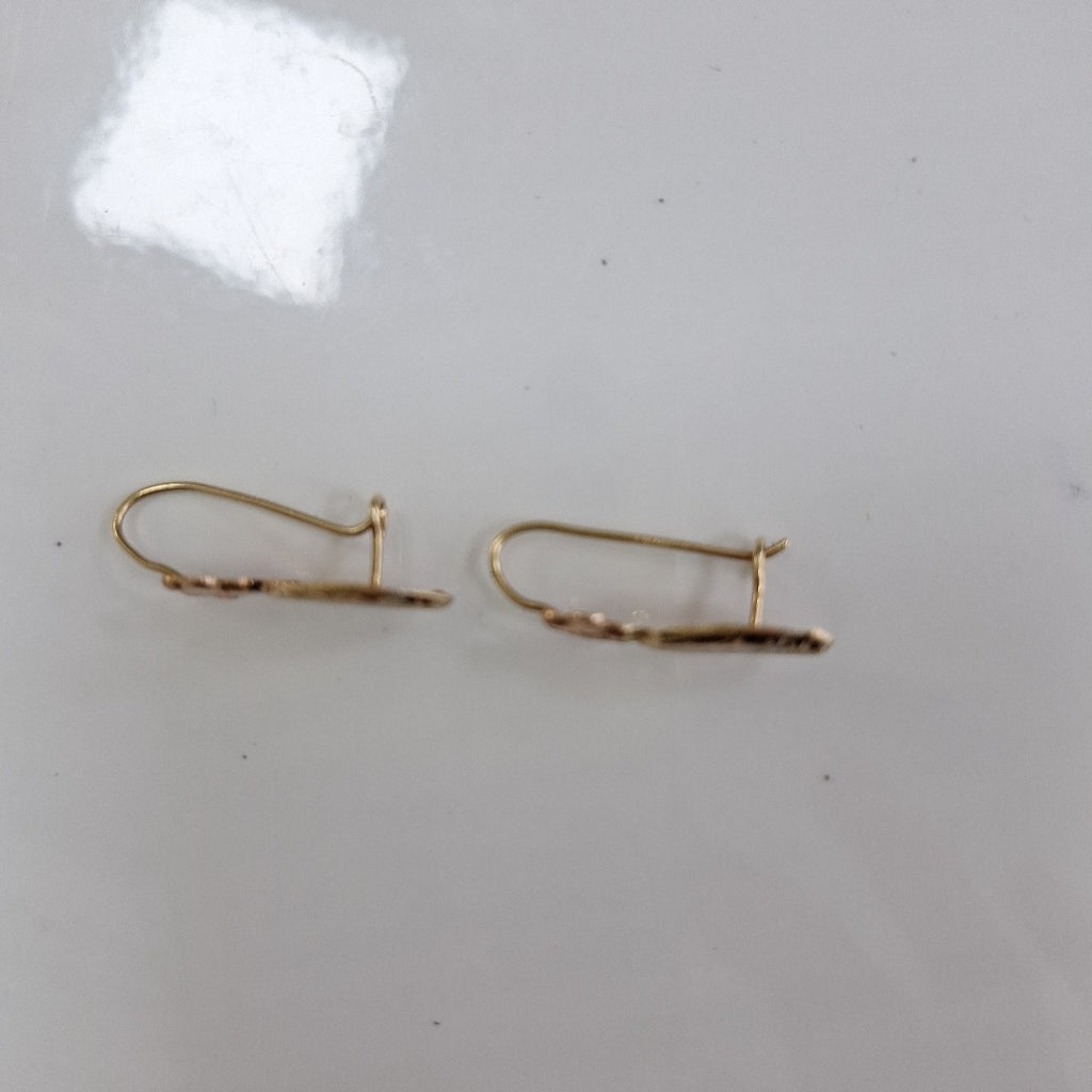 ARETES PAR ORO 10 K 1 GRMS (SEMINUEVO)