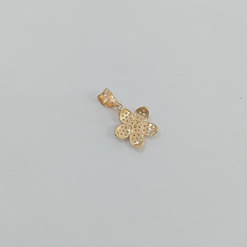 DIJE ORO 10 K 1 GRMS (SEMINUEVO)