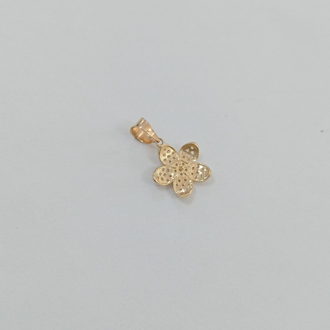DIJE ORO 10 K 1 GRMS (SEMINUEVO)