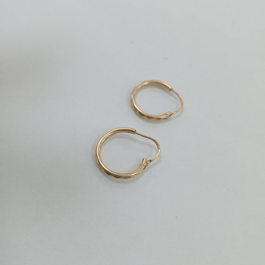 ARETES PAR ORO 10 K 0,70 GRMS (SEMINUEVO)
