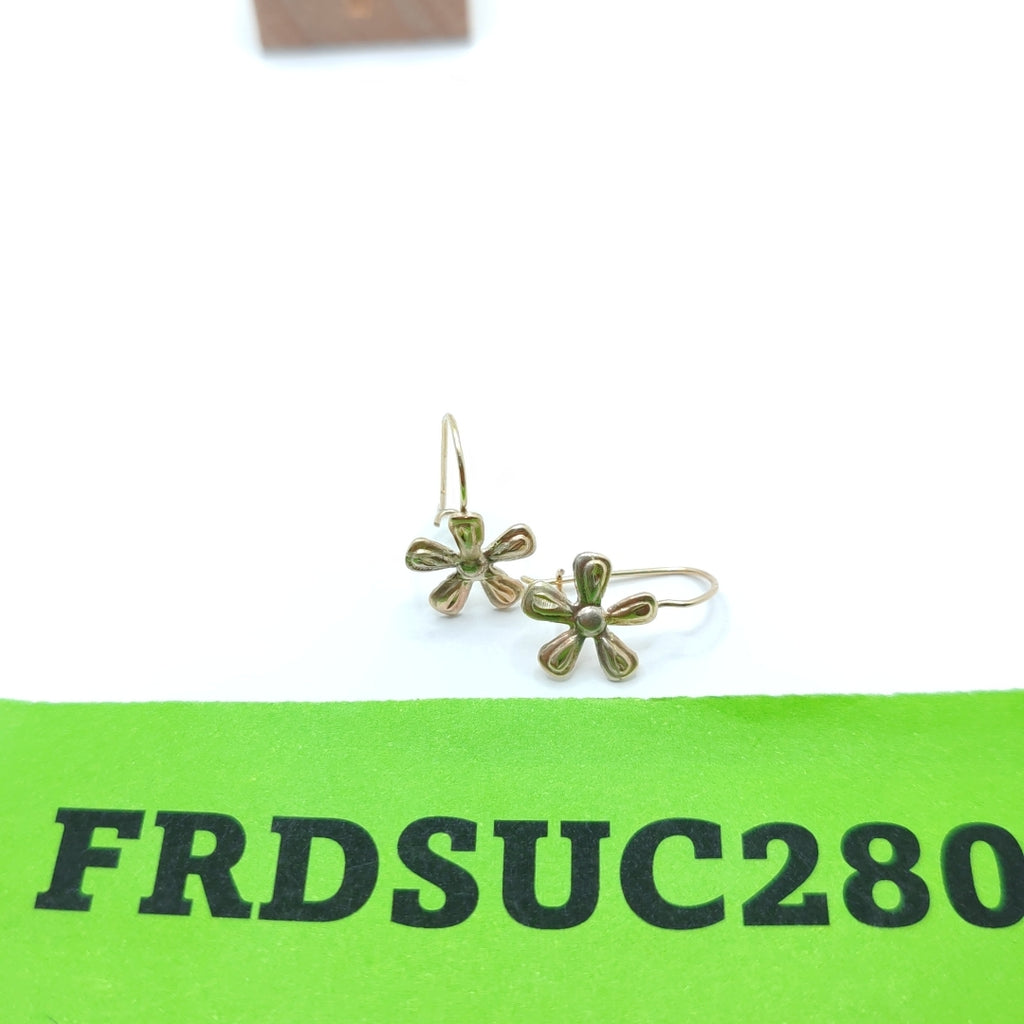 ARETES PAR ORO 10 K 0.6 GRMS (SEMINUEVO)