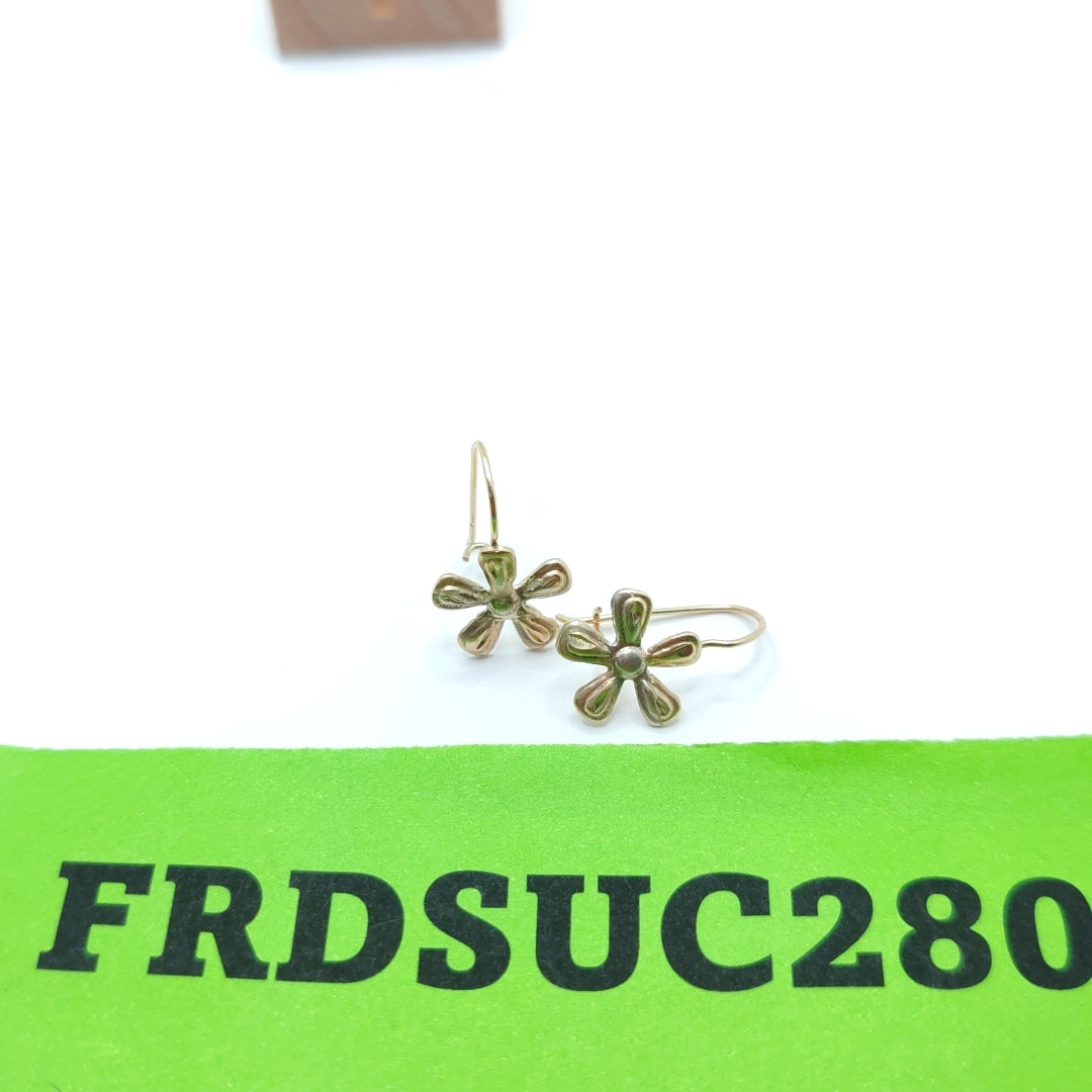ARETES PAR ORO 10 K 0.6 GRMS (SEMINUEVO)