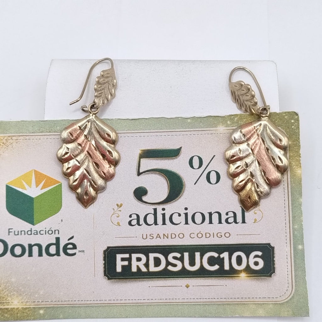 ARETES PAR ORO 10 K 1.9 GRMS (SEMINUEVO)