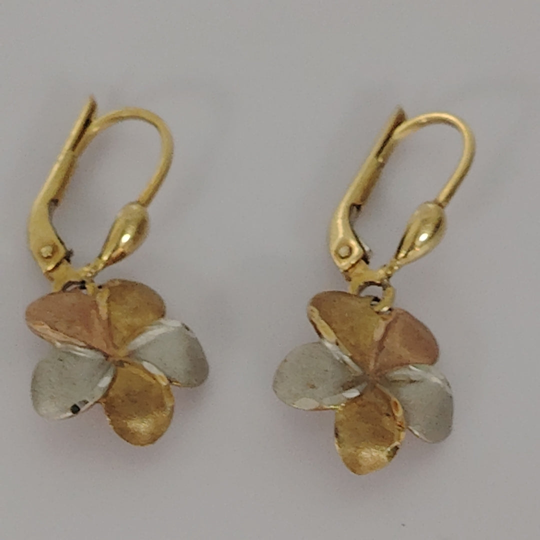 ARETES PAR ORO 10 K 1.6 GRMS (SEMINUEVO)