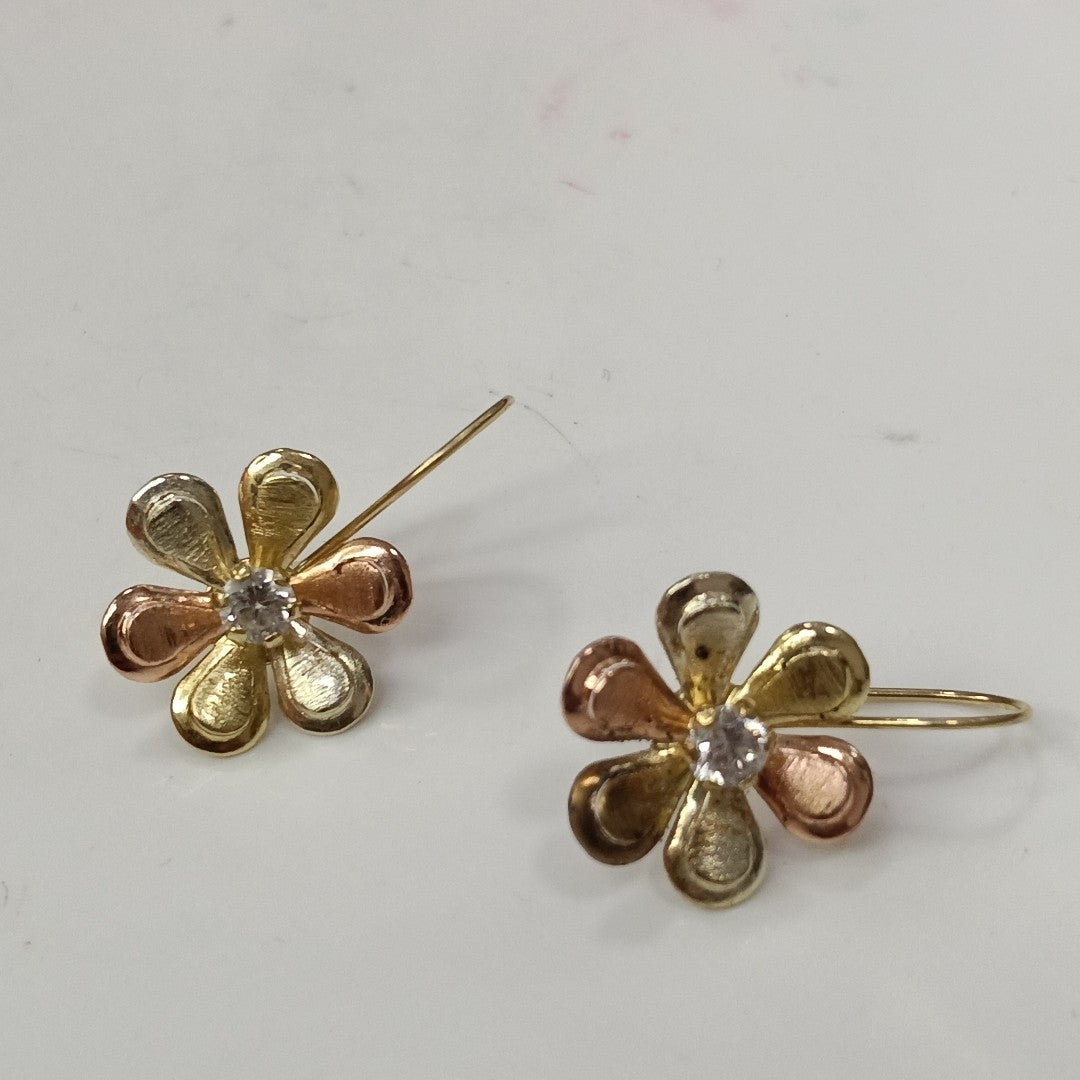 ARETES PAR ORO 10 K 2 GRMS (SEMINUEVO)