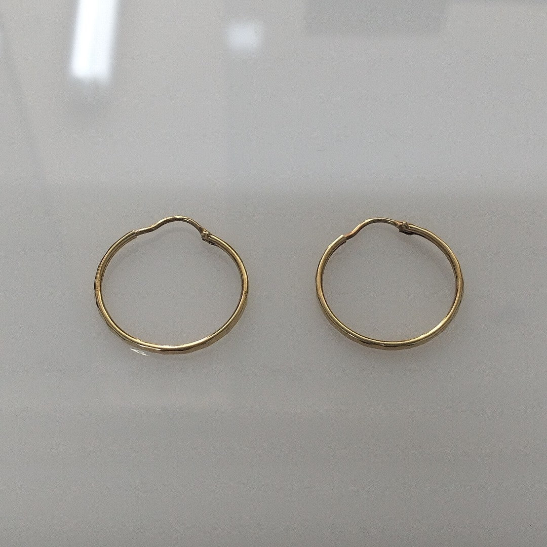 ARRACADAS PAR ORO 10 K 1,00 GRMS (SEMINUEVO)
