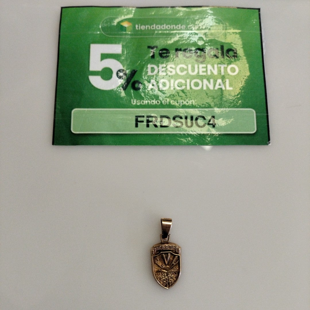 DIJE ORO 10 K 4.1 GRMS (SEMINUEVO)
