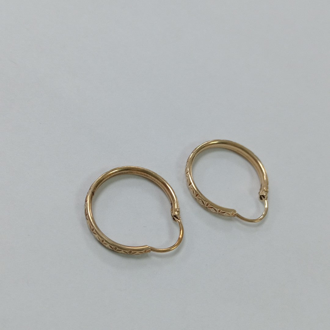 ARRACADAS PAR ORO 10 K 1.4 GRMS (SEMINUEVO)