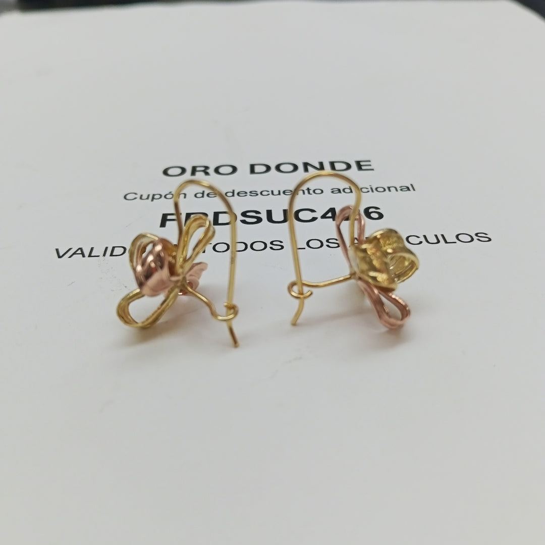 ARETES PAR ORO 10 K 2,90 GRMS (SEMINUEVO)
