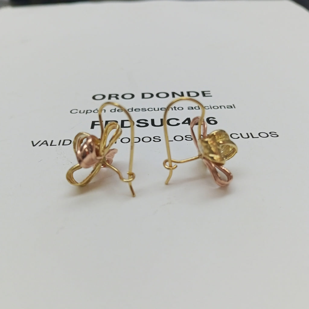 ARETES PAR ORO 10 K 2,90 GRMS (SEMINUEVO)