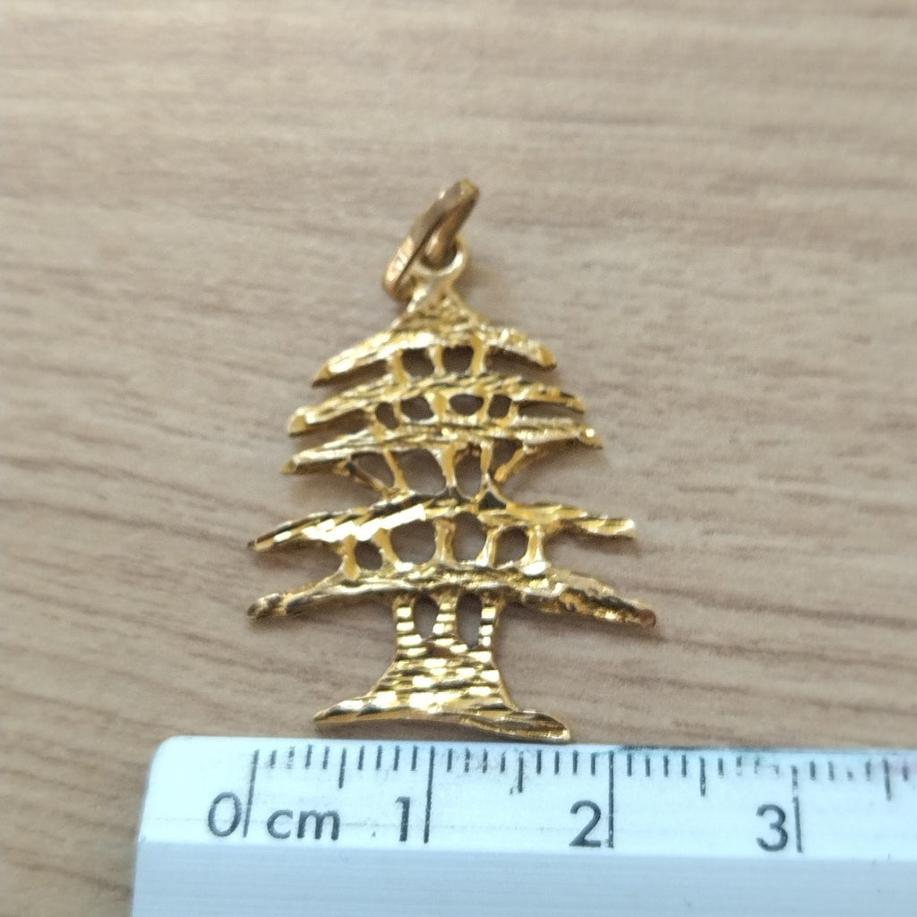 DIJE ORO 14 K 2.5 GRMS (SEMINUEVO)