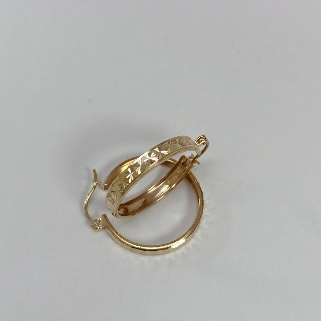 ARETES PAR ORO 10 K 2.7 GRMS (SEMINUEVO)