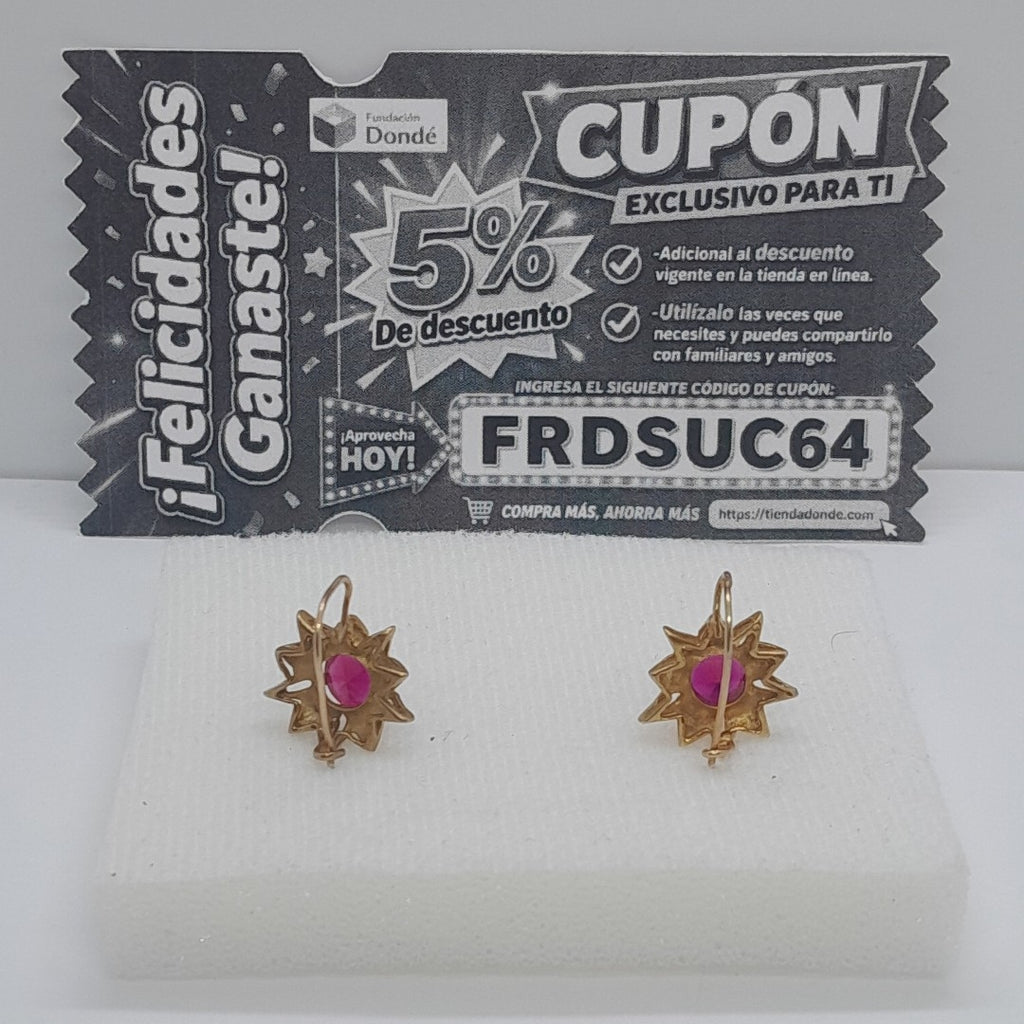 ARETES PAR ORO 10 K 3.6 GRMS (SEMINUEVO)