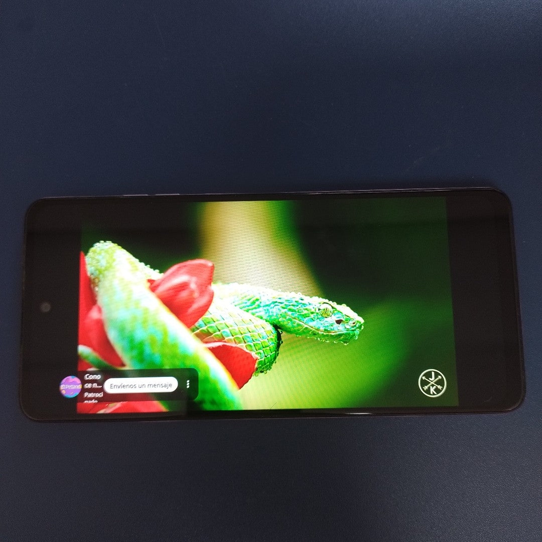 CELULAR MOTOROLA MOTO G24 XT2423-1 (2024) 256 GB 4 GB RAM (SEMINUEVO)